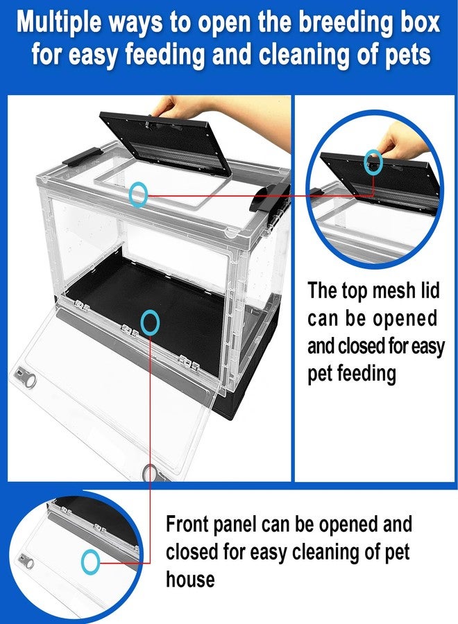 NestBasics Hamster breeding House Reptile breeding Cages with Wheels (Big Size) - Image 3